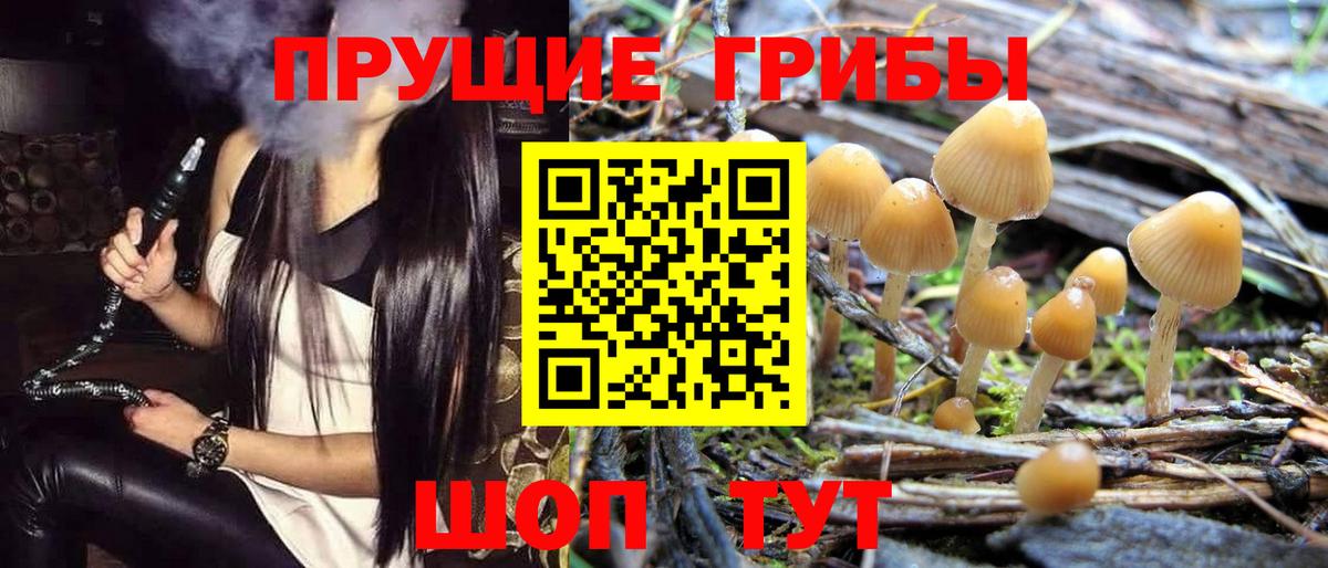 Псилоцибиновые грибы MAGIC MUSHROOMS Альметьевск